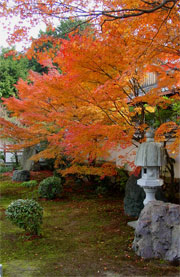 стиль сада японский сад